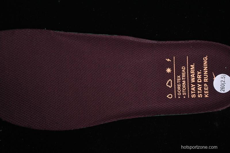 Nike Air Zoom Pegasus 41 GTX Running Shoes with Mesh Breathable Lightweight Design - FQ1356-003