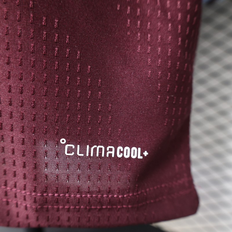 Player Version 26/27 Aston Villa FC Home Long Sleeve Jersey With Sponsor